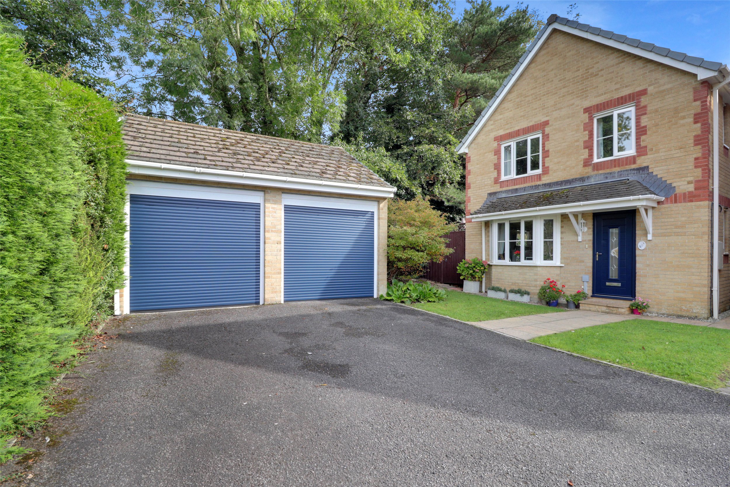 Westacott Meadow, Westacott, Barnstaple, Devon, EX32