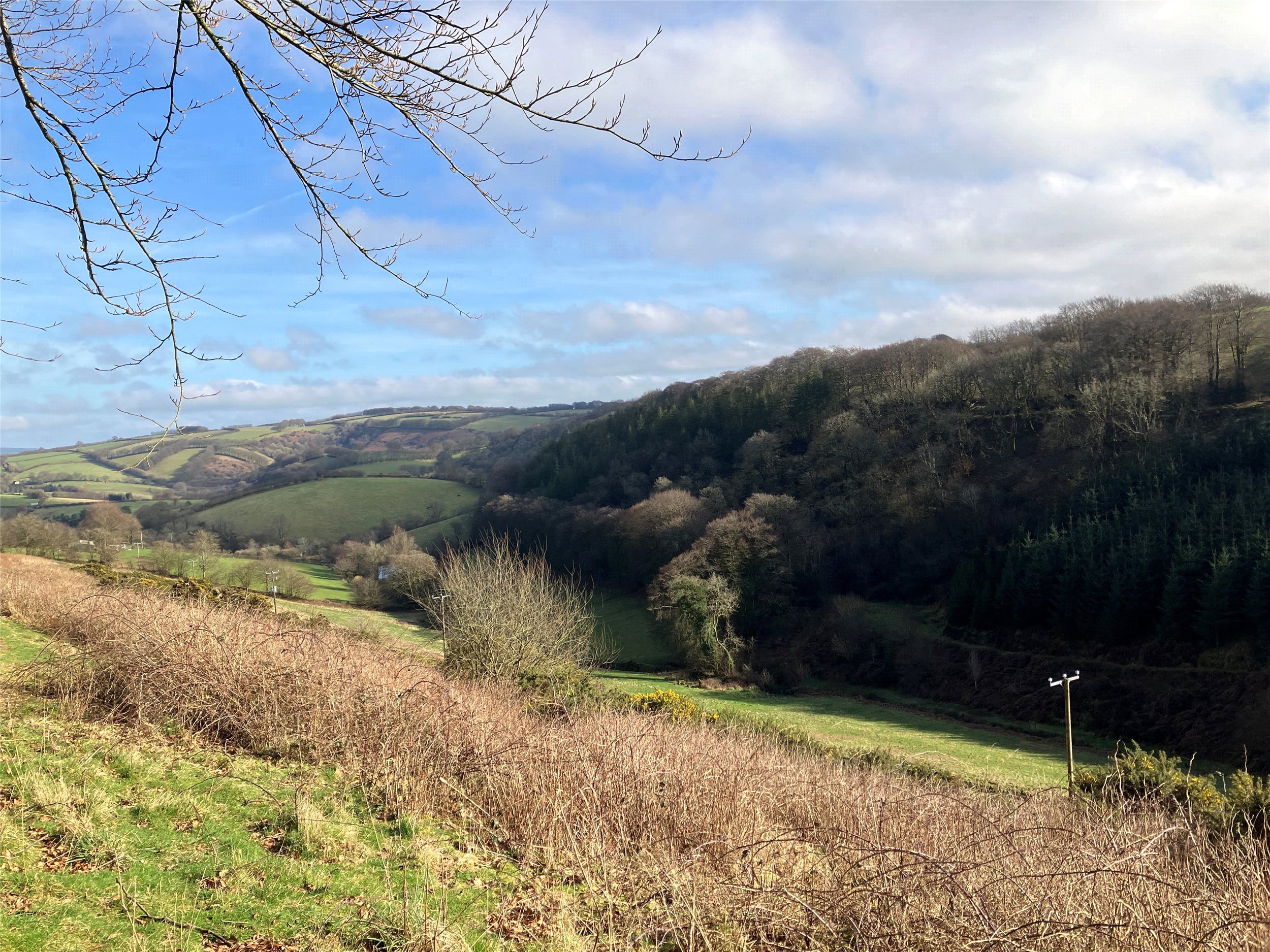 Land At Rock Lane & Part Court Plantation, Exford, Minehead, TA24