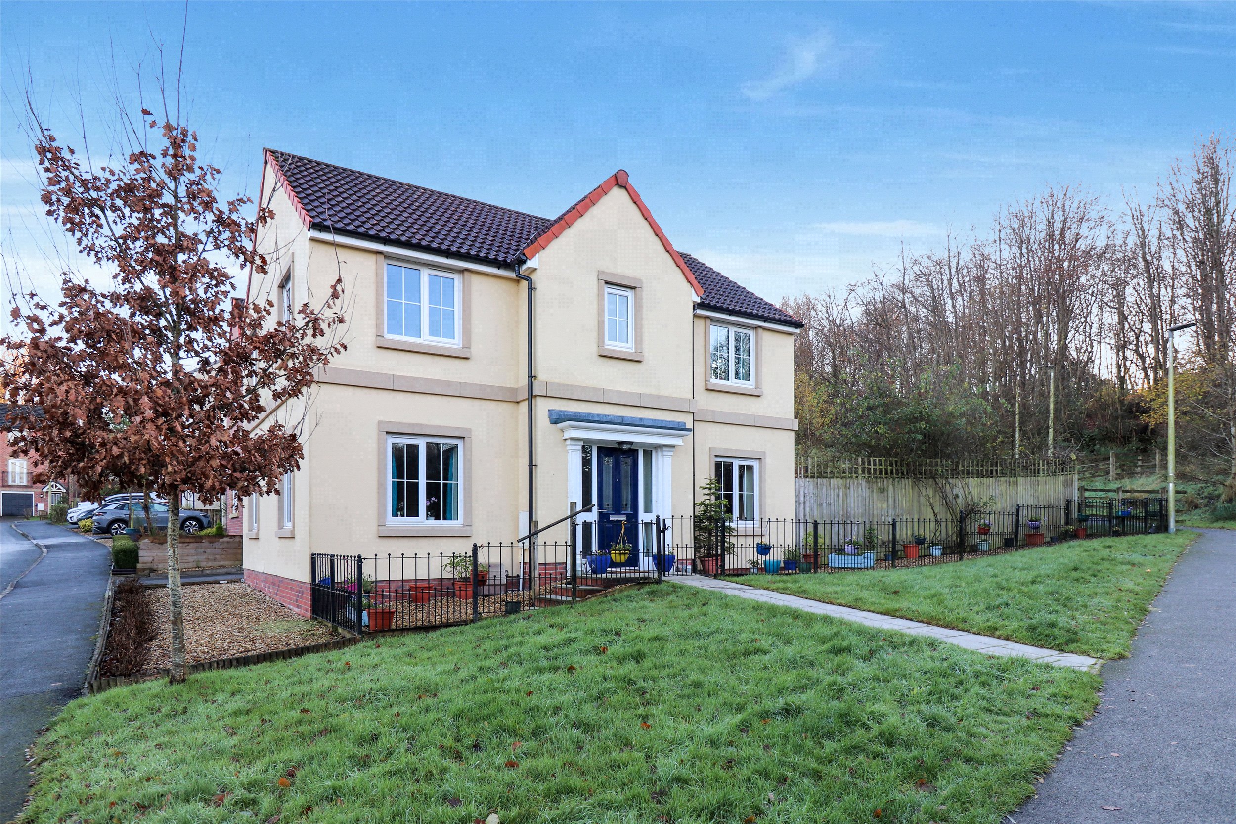 Ash Drive, South Molton, Devon, EX36