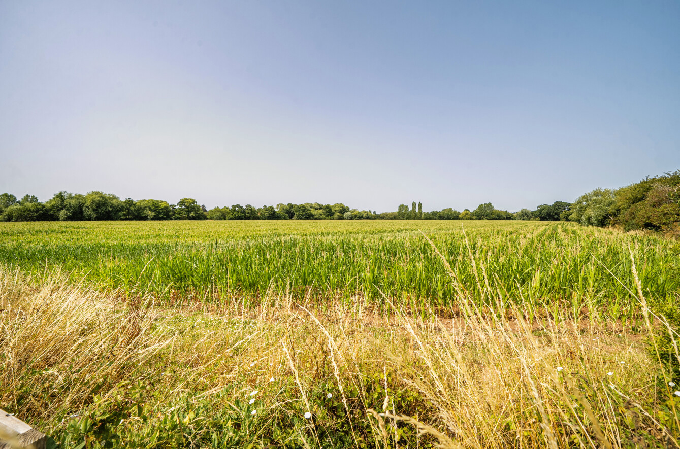 Frieze Hill, Taunton, Somerset, TA1