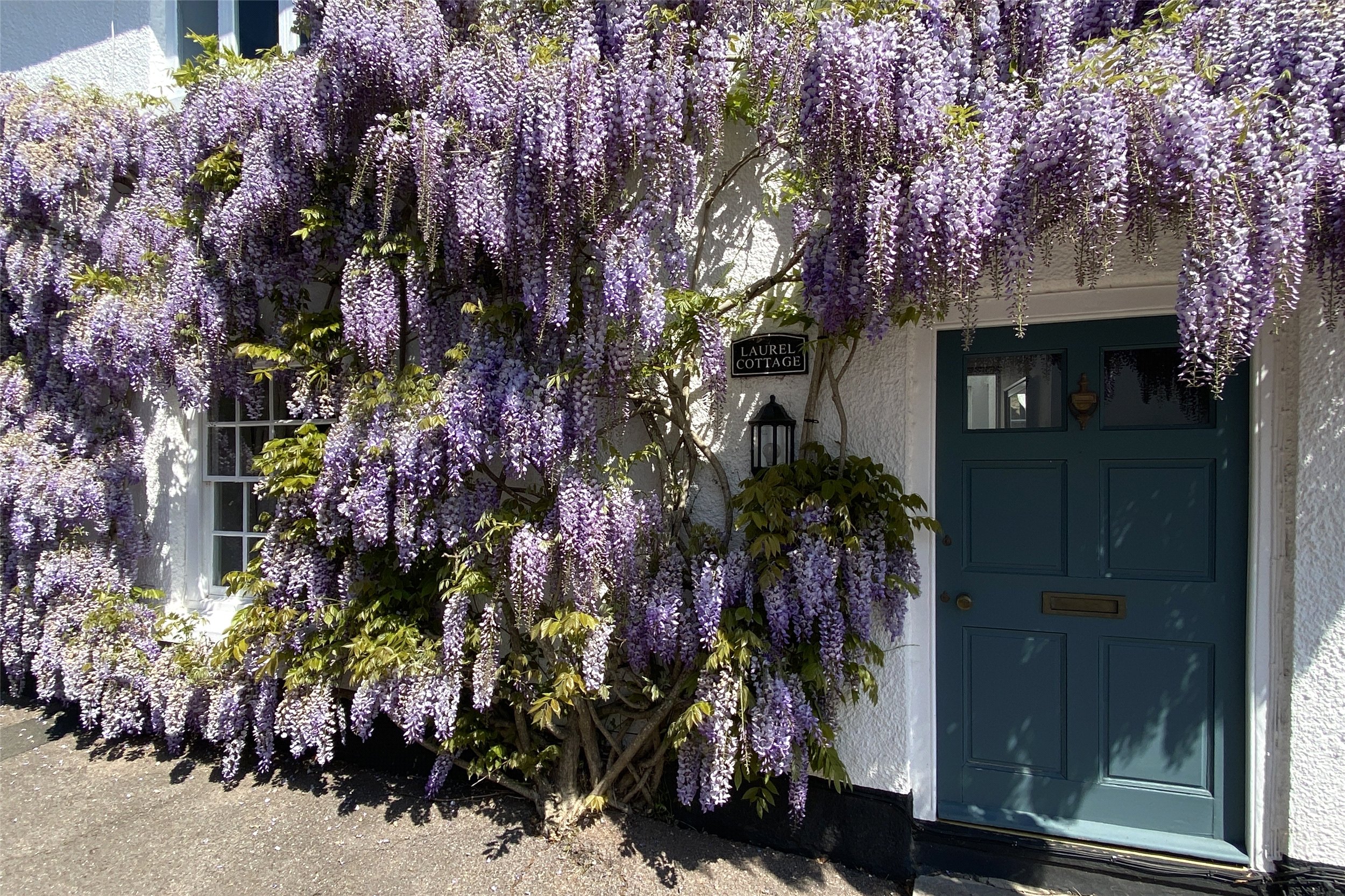 Holcombe Rogus, Wellington, Devon, TA21