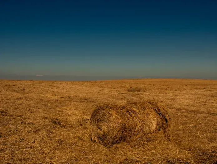 South Molton Area Guide Webbers