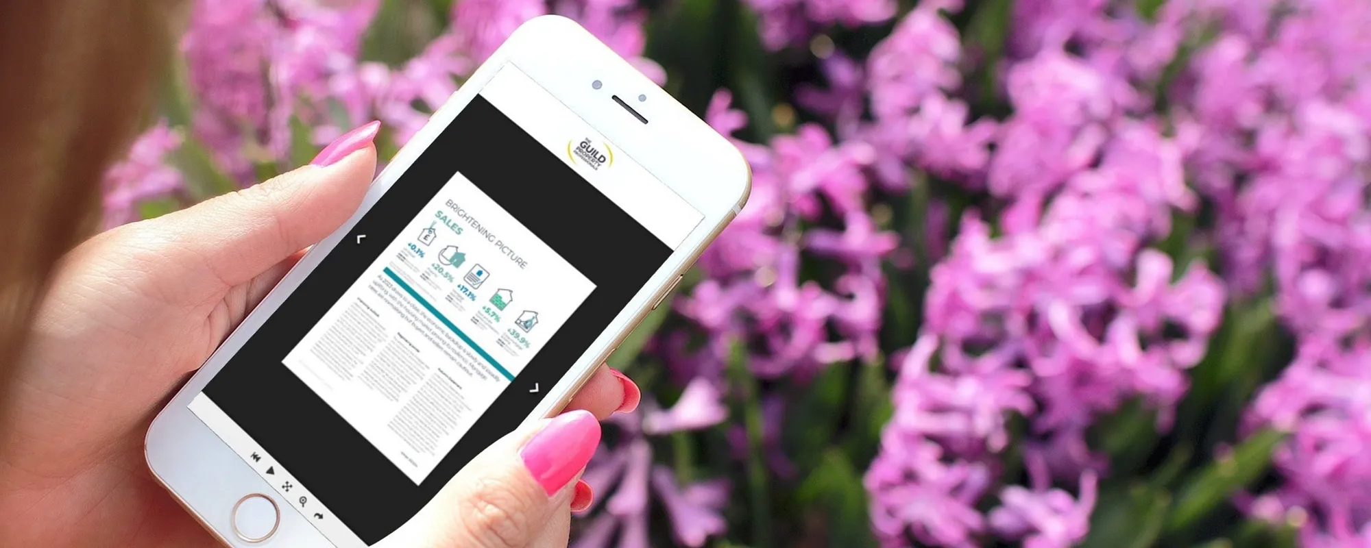 Property Market  - Webbers