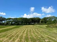 Sutcombe, Holsworthy, Devon, EX22