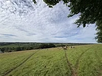 Upton, Taunton, Somerset, TA4