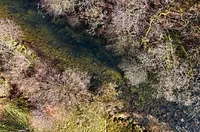 Dulverton, Somerset, TA22