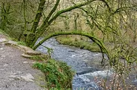 Dulverton, Somerset, TA22