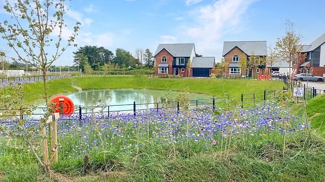 Buckleigh Meadows, Westward Ho!, Bideford, EX39